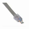 Show product details for 100028C Platinum Tools ezEX44 - ezEX-RJ45 CAT6 Connectors - 50 Pack