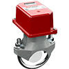 1144435 Potter VSR-3.5 Vane Type Waterflow Alarm Switch with Retard