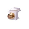 Show product details for 824079 Vanco Keystone-Inserts F81 Gold Light Almond