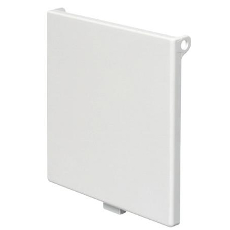 DBV2W-10 Arlington Industries In Box 2-Gang Cover White - Pack of 10