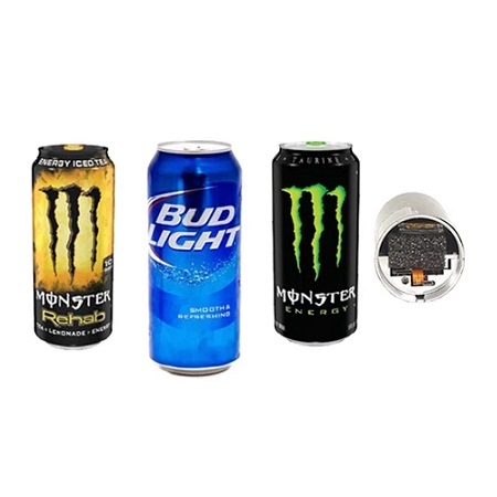 INVID-MONSTERCAN InVid Tech 30FPS @ 1080p Indoor Covert Security Camera