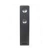 LFS6 Proficient Audio 125W Floor Standing Speaker w/ 2 x 6" Graphite Woofers and 1" Silk Dome Tweeter - Single Speaker