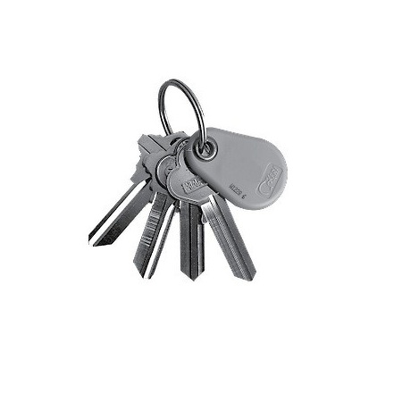 PKT-10X Keri System Proximity Key Tag