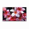 Show product details for R4K46SNF Orion 46" LED Monitor 1920 x 1080 VGA/HDMI/DVI